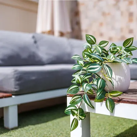 Bright 3br Penthouse With Pool & Bbq In Msida By Quicktrips